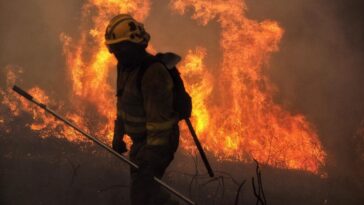 Les pompiers exposés à un risque accru de cancers du cerveau, selon une étude 27 Image