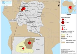 La distribution géographique des cas et des décès dus à une maladie non encore identifiée dans la province d'Équateur, République Démocratique du Congo / Crédit who.it