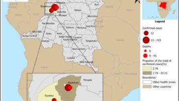 Les symptômes de la maladie mystérieuse qui tue au Congo : fièvre, hémorragies mortelles et plus de 1000 cas selon l'OMS 12 La distribution géographique des cas et des décès dus à une maladie non encore identifiée dans la province d'Équateur, République Démocratique du Congo / Crédit who.it