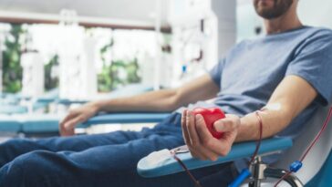 Pourquoi vous devriez donner votre sang plus souvent : une étude révèle un nouvel effet bénéfique sur votre corps 6 Image