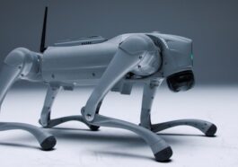 Regardez Un Chien Robot Apprendre A Se Lever Et A.jpg