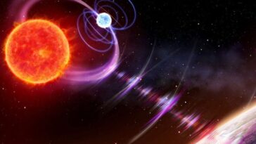 Résolu : le mystère du "code Morse cosmique", ces impulsions radio d'une minute qui nous parviennent de l'espace 26 Rappresentazione artistica di una nana rossa (sinistra) e di una nana bianca (centro) in orbita l'una attorno all'altra. L'orbita delle stelle è così stretta che i loro campi magnetici interagiscono, causando impulsi di emissione radio ogni due ore / Credit Daniëlle Futselaar/artsource.nl