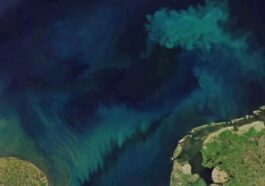 Subtilement, nous polluons nos océans avec ce produit…