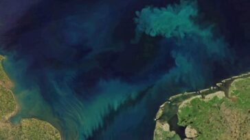Subtilement, nous polluons nos océans avec ce produit…