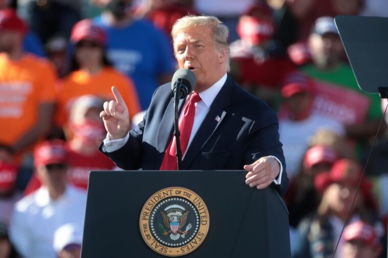 Trump appelle à l'abrogation de la loi sur les puces pour réduire la dette nationale 1 Trump Appelle à L'abrogation De La Loi Sur Les Puces