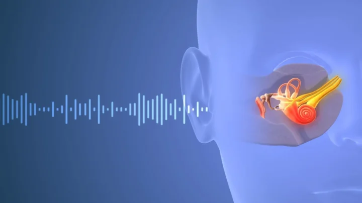 Un nouvel espoir pour traiter le bourdonnement d'oreilles ! 2 Illustration de bourdonnement dans l'oreille