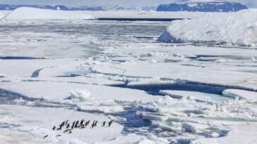 Une nouvelle carte révèle la structure cachée de l'Antarctique sous la glace : si tout fondait, ce serait l'Apocalypse 3 Immagine