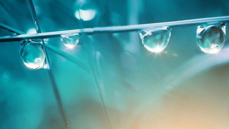 Une nouvelle étude révèle que la vie sur Terre est déclenchée par des "micro-étincelles" dans les gouttes d'eau 1 Image
