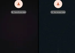 WhatsApp dévoile une fonctionnalité qui mettra fin aux surprises lors des appels vidéo