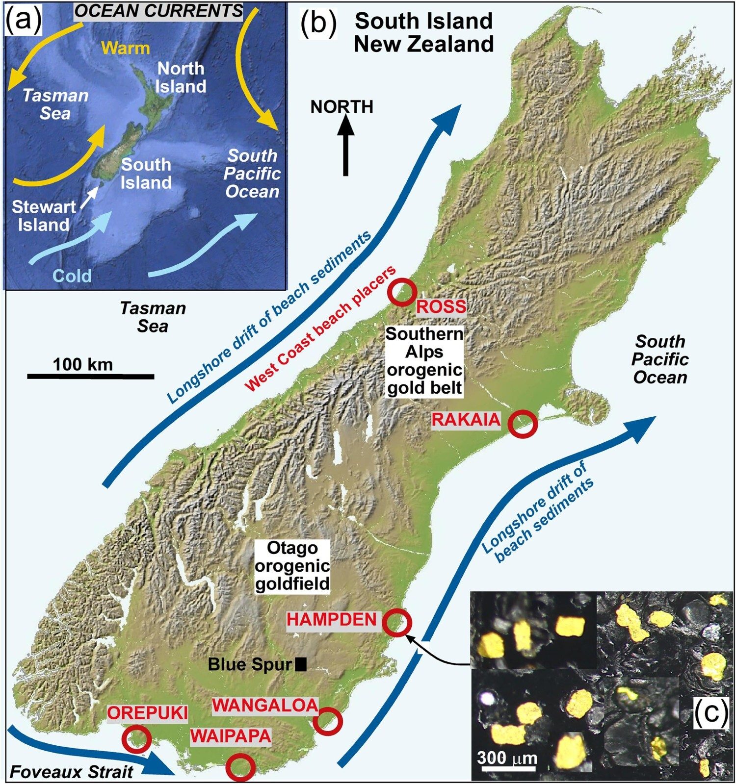 Les plages de Nouvelle-Zélande regorgent d'or : la découverte incroyable dans le sable noir de l'île du Sud 4 Crédit : New Zealand Journal of Geology and Geophysics.