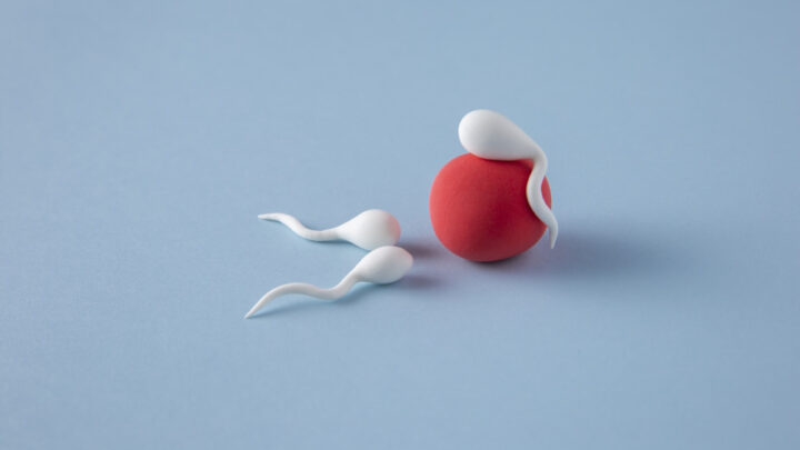 Naissance du premier bébé conçu par une "Fécondation In Vitro automatisée" 4 1744716166 553 Naissance du premier bebe concu par une Fecondation In Vitro