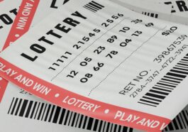 Comment Un Syndicat De Jeu A Raflé 95 Millions €