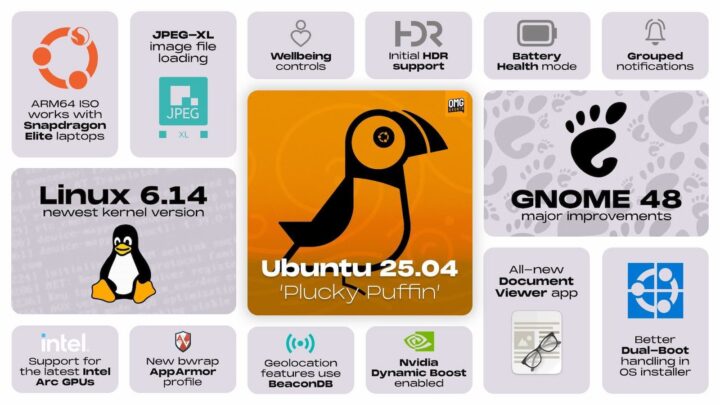 Ubuntu 25.04 "Plucky Puffin" est enfin disponible 3 Ubuntu 25.04 "Plucky Puffin" déjà disponible