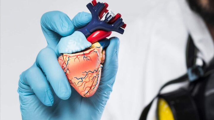 Des organes humains sur demande : l'impression 3D va révolutionner les greffes et mettre fin aux listes d'attente 3 1745155349 291 Des organes humains sur demande limpression 3D va revolutionner