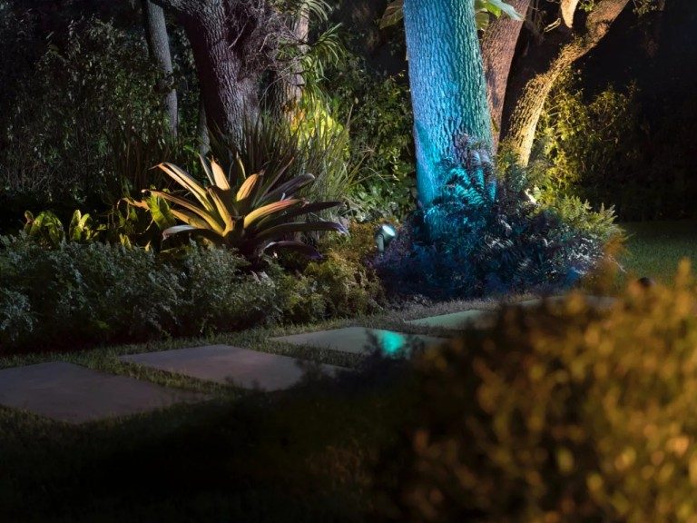 Avec le spot Lily, vous pouvez éclairer par exemple des plantes. (Photo : Signify)