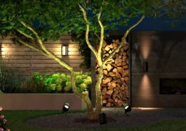 Éclairage De Jardin Intelligent : Créez Une Ambiance Magique Avec