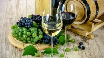 Boire huit verres ou plus de vin par semaine lié à des lésions cérébrales et des signes d'Alzheimer 30 Image