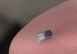 Il mini-pacemaker. Credit: Northwestern University