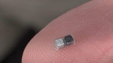 Découvrez le plus petit pacemaker au monde : conçu même pour les nouveau-nés, il peut être inséré avec une seringue 11 Il mini-pacemaker. Credit: Northwestern University