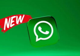 Découvrez toutes les nouveautés qui ont été ajoutées à WhatsApp au cours de cette dernière semaine