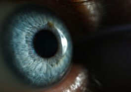 Des Chercheurs Annoncent La Découverte D'une Couleur Jamais Perçue Par