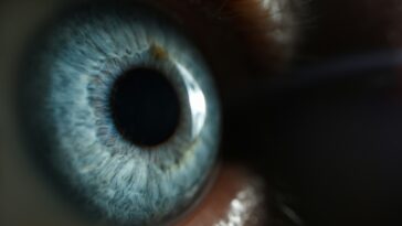 Des chercheurs annoncent la découverte d'une couleur jamais perçue par l'Homme ! 5 Des Chercheurs Annoncent La Découverte D'une Couleur Jamais Perçue Par