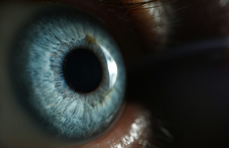 Des chercheurs annoncent la découverte d'une couleur jamais perçue par l'Homme ! 1 Des Chercheurs Annoncent La Découverte D'une Couleur Jamais Perçue Par