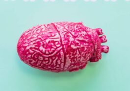 Des organes humains sur demande : l'impression 3D va révolutionner les greffes et mettre fin aux listes d'attente