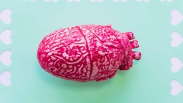 Des organes humains sur demande : l'impression 3D va révolutionner les greffes et mettre fin aux listes d'attente