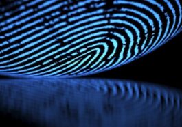 Des personnes innocentes peuvent-elles être disculpées ? Les empreintes digitales humaines sont-elles vraiment uniques ?
