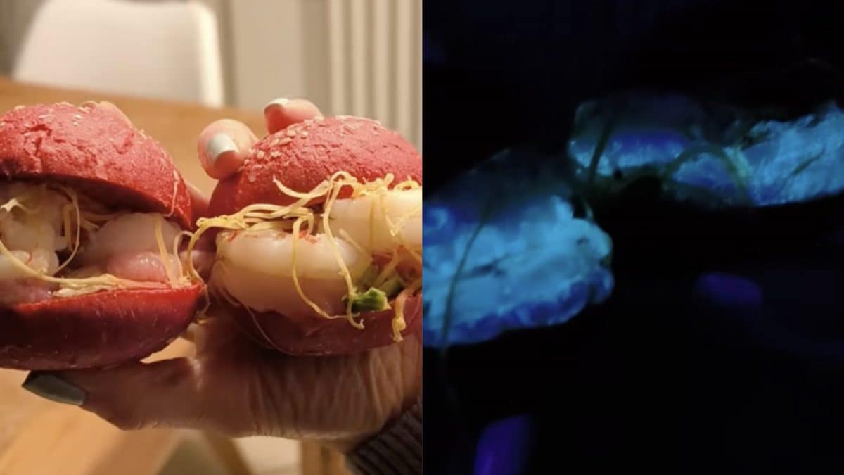 Ils achètent des crevettes au supermarché, puis la surprise : "Elles brillent dans le noir" 2 Image