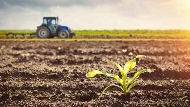 Jusqu'à 17 % des terres agricoles sont contaminées par des métaux lourds ! 1 Image