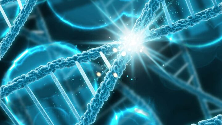 L'ADN n'est pas en sécurité… Des experts mettent en garde contre les hackers capables d'infiltrer et de manipuler des données 2 ADN