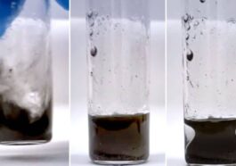 Le phénomène mystérieux de la mixture qui prend la forme d'un vase grec même lorsqu'elle est vigoureusement agitée / Crédits : UMass Amherst