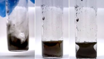Le mystère du "vase liquide" : la formule qui garde toujours la même forme 23 Le phénomène mystérieux de la mixture qui prend la forme d'un vase grec même lorsqu'elle est vigoureusement agitée / Crédits : UMass Amherst