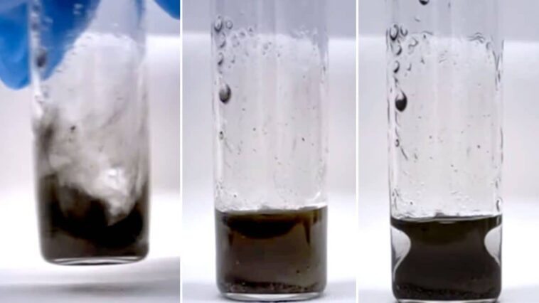Le mystère du "vase liquide" : la formule qui garde toujours la même forme 1 Le phénomène mystérieux de la mixture qui prend la forme d'un vase grec même lorsqu'elle est vigoureusement agitée / Crédits : UMass Amherst