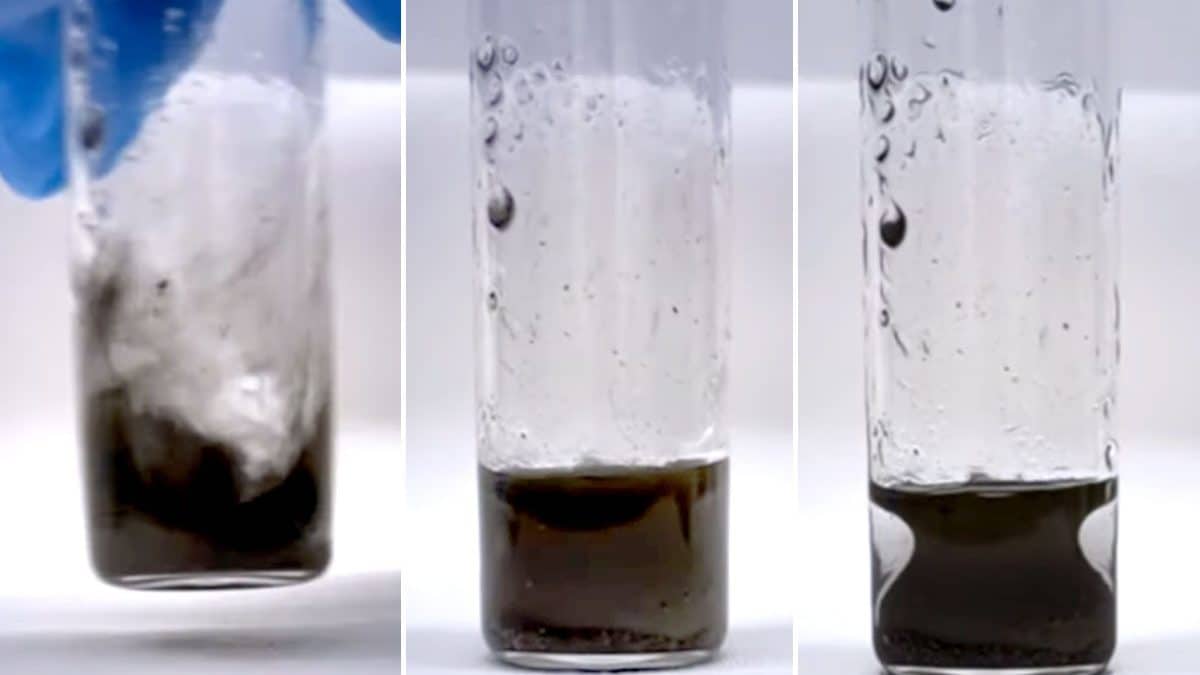 Le mystère du "vase liquide" : la formule qui garde toujours la même forme 2 Le phénomène mystérieux de la mixture qui prend la forme d'un vase grec même lorsqu'elle est vigoureusement agitée / Crédits : UMass Amherst