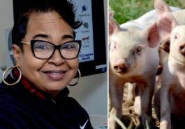 Towana Looney, 53 anni, ha vissuto per più di 4 mesi con un rene di maiale trapiantato / Credit: NYU Langone Transplant Institute/iStock