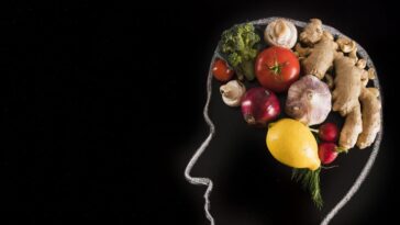 Le super nutriment pour le cerveau souvent oublié : qu'est-ce que la choline et dans quels aliments la trouver 22 Image