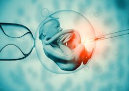 Naissance du premier bébé conçu par une "Fécondation In Vitro automatisée"
