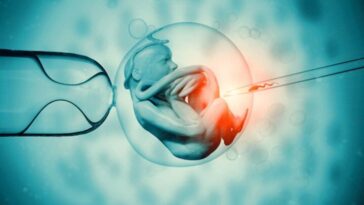 Naissance du premier bébé conçu par une "Fécondation In Vitro automatisée"