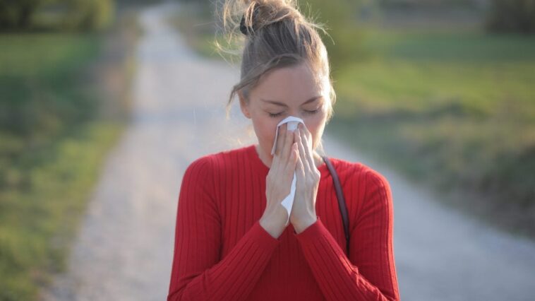 Pourquoi de plus en plus de personnes souffrent-elles d'allergies aux pollens : ce qu'il y a vraiment dans l'air que nous respirons 1 Image