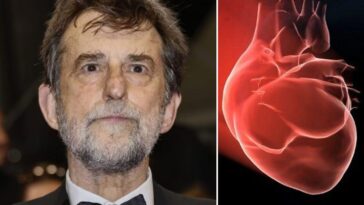 Quels sont les symptômes d'infarctus identifiés par Nanni Moretti : le signe qui lui a sauvé la vie 12 Nanni Moretti, 71 ans, a eu un infarctus le 2 avril 2025 : pour le réalisateur italien, c'est le deuxième infarctus en moins de six mois