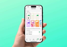 Quels sont les thèmes de WhatsApp, comment fonctionnent-ils et quels sont disponibles
