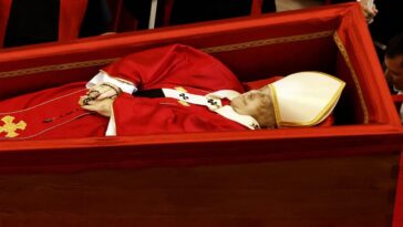 Qu'est-ce que cette étrange tache sombre sur le visage du Pape François ? 19 Immagine