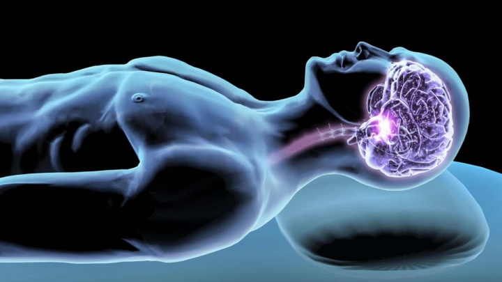 Siestes artificielles : des scientifiques découvrent les bienfaits du sommeil sans dormir 3 Siestes artificielles des scientifiques decouvrent les bienfaits du sommeil