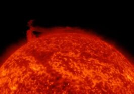Crédit : Solar Dynamics Observatory de la NASA / Tamitha Skov / Twitter