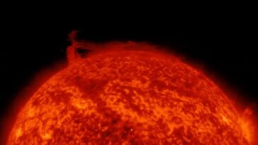 Tempête solaire imminente le 16 avril : un flux de plasma du Soleil frappe la Terre 20 Crédit : Solar Dynamics Observatory de la NASA / Tamitha Skov / Twitter