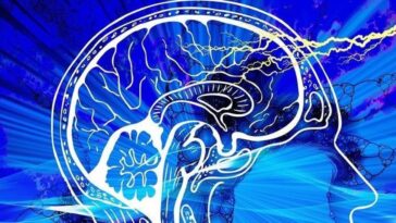 Un vaccin contre le zona pourrait protéger contre Alzheimer et d'autres formes de démence, mais son fonctionnement reste flou 14 Image