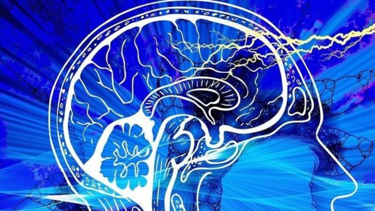 Un vaccin contre le zona pourrait protéger contre Alzheimer et d'autres formes de démence, mais son fonctionnement reste flou 1 Image